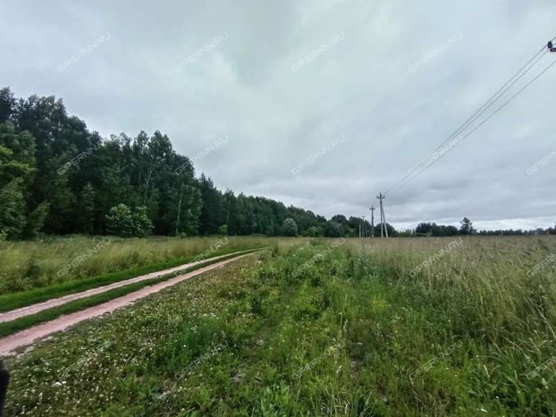 земельный участок 844 сотки КП Бугров парк