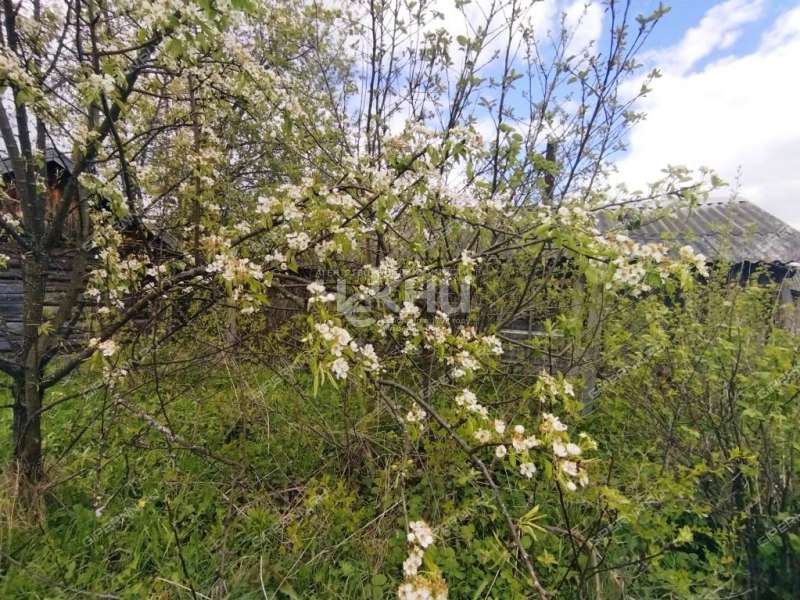 дом на Октябрьской улице село Владимирское