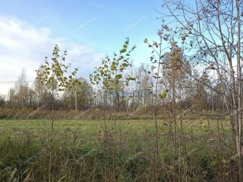 selo-elhovka-kstovskiy-rayon фото