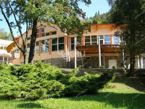 derevnya-zuevo-gorodskoy-okrug-bor фото