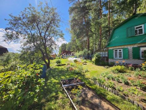 dacha-poselok-sitniki-gorodskoy-okrug-bor фото