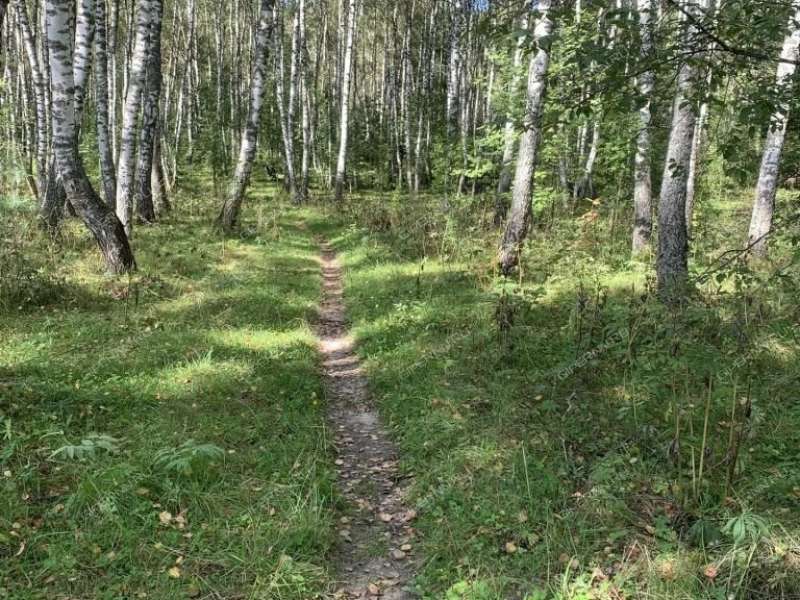 дача на СНТ Кристалл рабочий посёлок Дальнее Константиново
