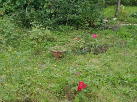 dacha-poselok-novaya-sloboda-bogorodskiy-municipalnyy-okrug фото