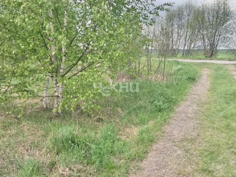dacha-derevnya-mokeiha-gorodeckiy-rayon фото