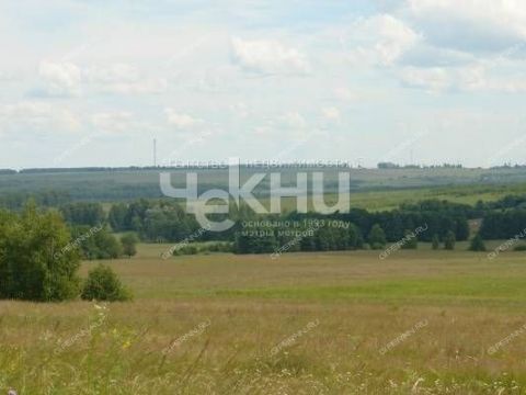 selo-armaniha-dalnekonstantinovskiy-rayon фото