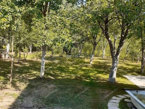 dacha-n8-ceden-derevnya-ceden-snt-kstovskiy-rayon фото