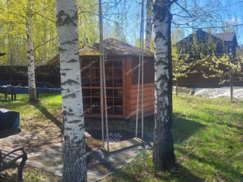 derevnya-lindo-pustyn-gorodskoy-okrug-bor фото