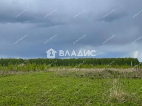 selo-ostankino-gorodskoy-okrug-bor фото