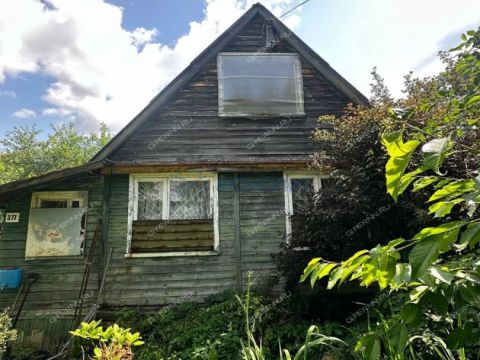 dacha-snt-druzhba-snt-druzhba фото