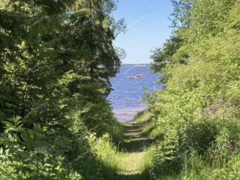 derevnya-bushnevo-gorodeckiy-rayon фото