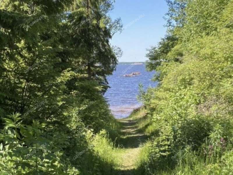 земельный участок 19,57 сотки - деревня Бушнёво