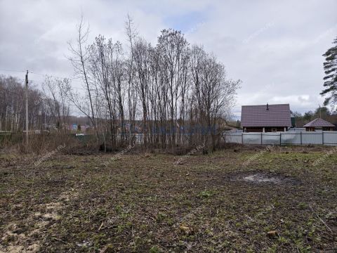 snt-stroitel-bogorodskiy-municipalnyy-okrug фото