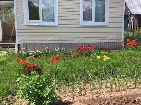 dacha-selo-bezvodnoe-kstovskiy-rayon фото