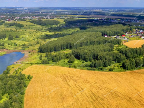 selo-efimevo-bogorodskiy-municipalnyy-okrug фото