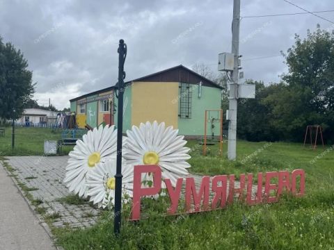 3-komnatnaya-selo-rumyancevo-dalnekonstantinovskiy-rayon фото