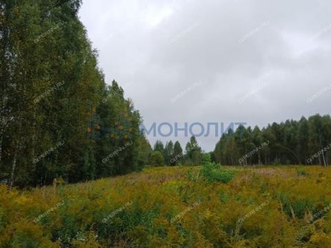 derevnya-zaskochiha-gorodskoy-okrug-bor фото