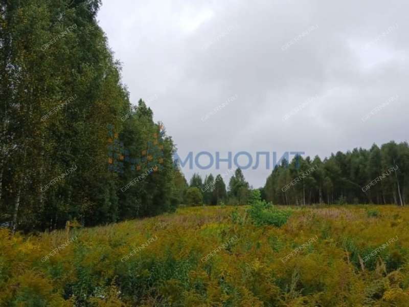 земельный участок 11 соток - деревня Заскочиха