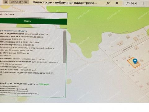 selo-efimevo-bogorodskiy-municipalnyy-okrug фото