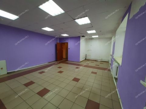 ul-sester-rukavishnikovyh-d-24a фото