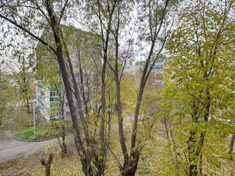 1-komnatnaya-prosp-lenina-d-28v фото