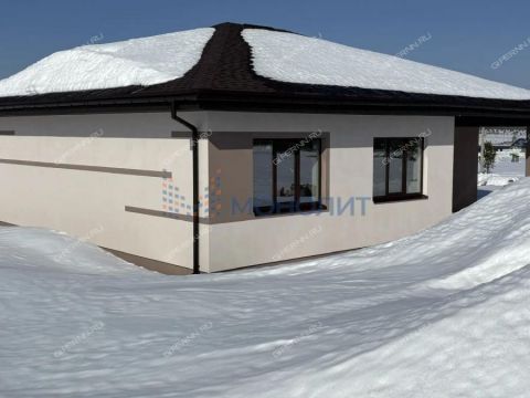 dom-derevnya-berezovka-bogorodskiy-municipalnyy-okrug фото