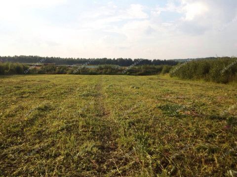 derevnya-zaozere-bogorodskiy-municipalnyy-okrug фото