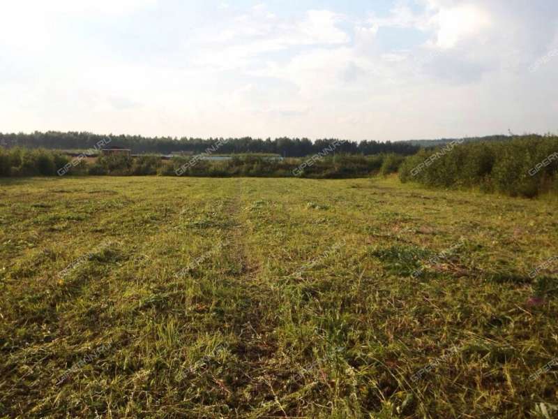 земельный участок 32 сотки Радужная улица деревня Заозерье