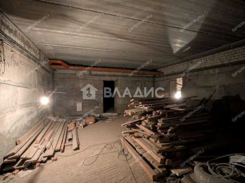 дом на улице Новая деревня Козловка (Ройкинский сельсовет)