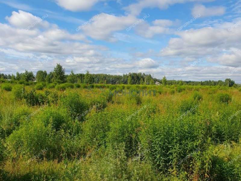 земельный участок под сельхоз назначение в городском округе Бор Нижегородской области