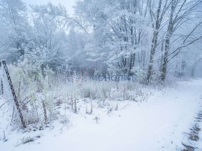 земельный участок под сельхоз назначение в Богородском районе Нижегородской области