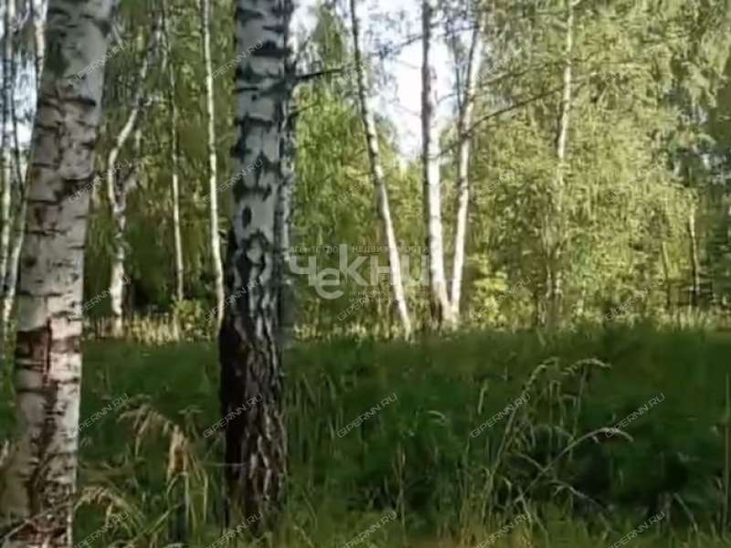 земельный участок 100 соток деревня Досадино