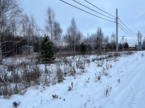 derevnya-kileley-bogorodskiy-municipalnyy-okrug фото