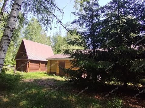 derevnya-rozhnovo-gorodskoy-okrug-bor фото