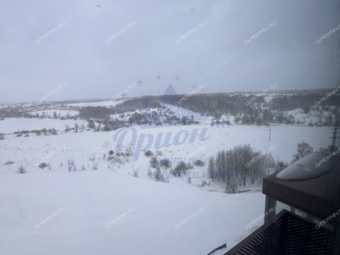 kvartira-studiya-derevnya-utechino-kstovskiy-rayon фото