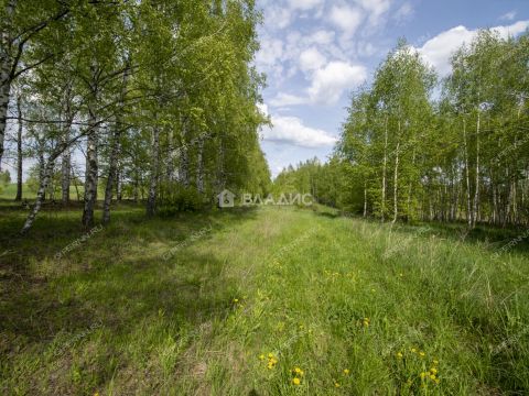 derevnya-maydan-kstovskiy-rayon фото