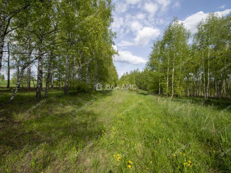 земельный участок 18 соток Овражная улица деревня Майдан