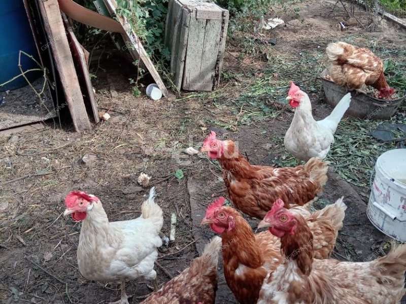 дом на Ясная Поляна ул город Заволжье