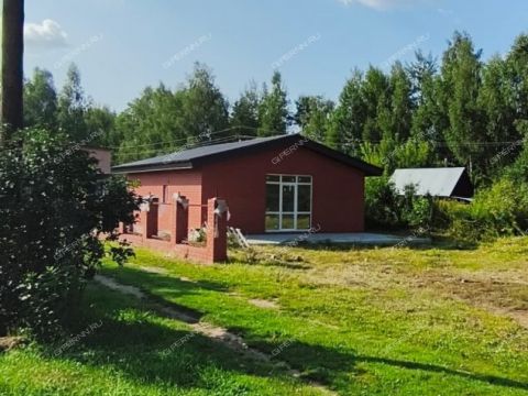 dom-derevnya-temryashino-gorodskoy-okrug-bor фото