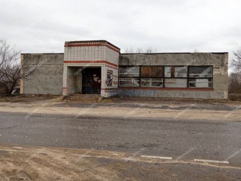 derevnya-medvedevo-semenovskiy-gorodskoy-okrug фото