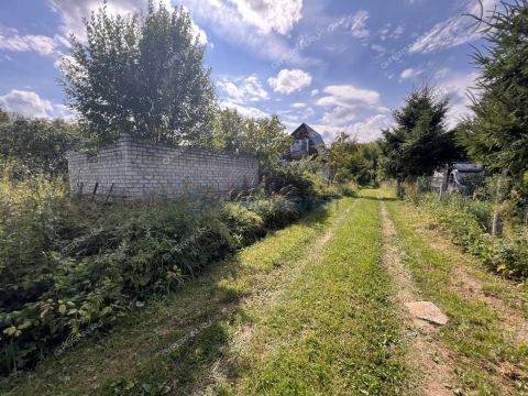 sad-derevnya-shoniha-bogorodskiy-municipalnyy-okrug фото