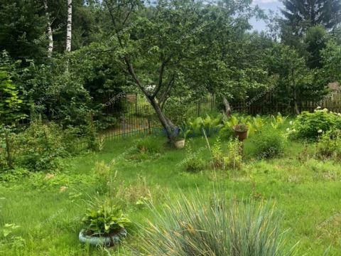 dacha-leninec-8-derevnya-hmelevaya-polyana-ter-snt-dalnekonstantinovskiy-rayon фото