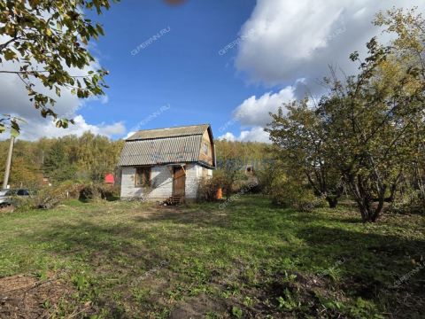 dacha-selo-kamenki-bogorodskiy-municipalnyy-okrug фото