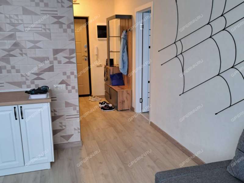 однокомнатная квартира на Черкесской улице дом 17 деревня Анкудиновка
