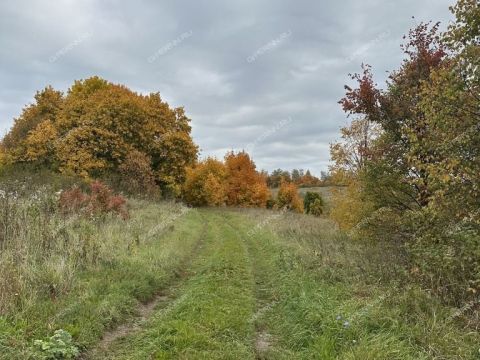 dom-selo-orehovec-diveevskiy-municipalnyy-okrug фото