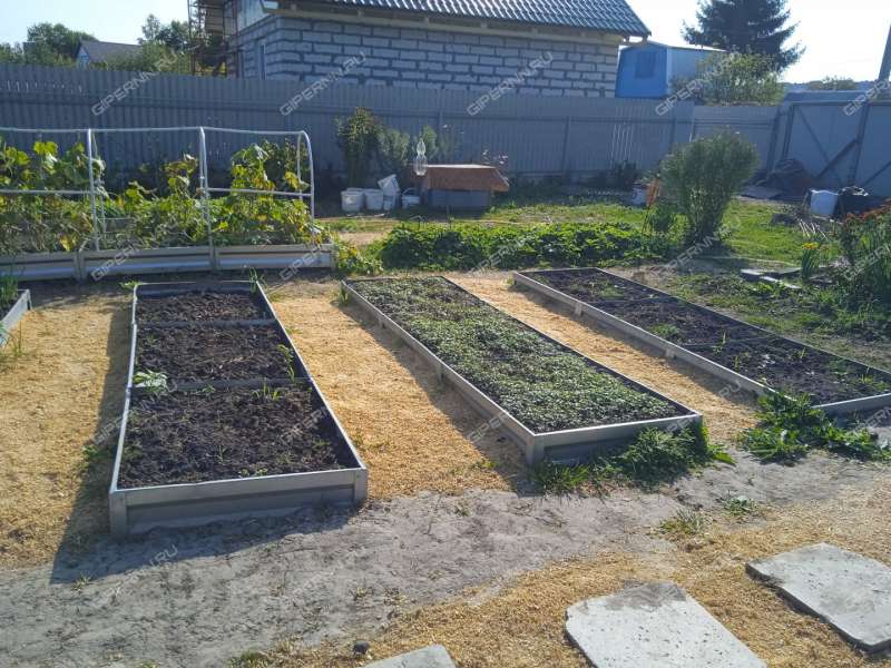 дача на СНТ Надежда