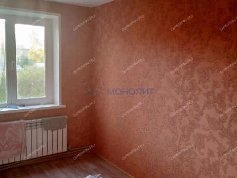 2-komnatnaya-selo-malaya-pica-dalnekonstantinovskiy-rayon фото