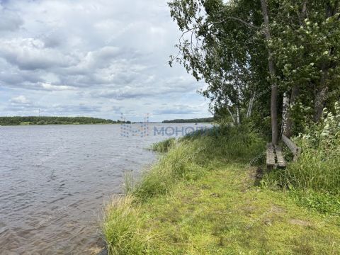 ryabinino-sad-gorodskoy-okrug-chkalovsk фото