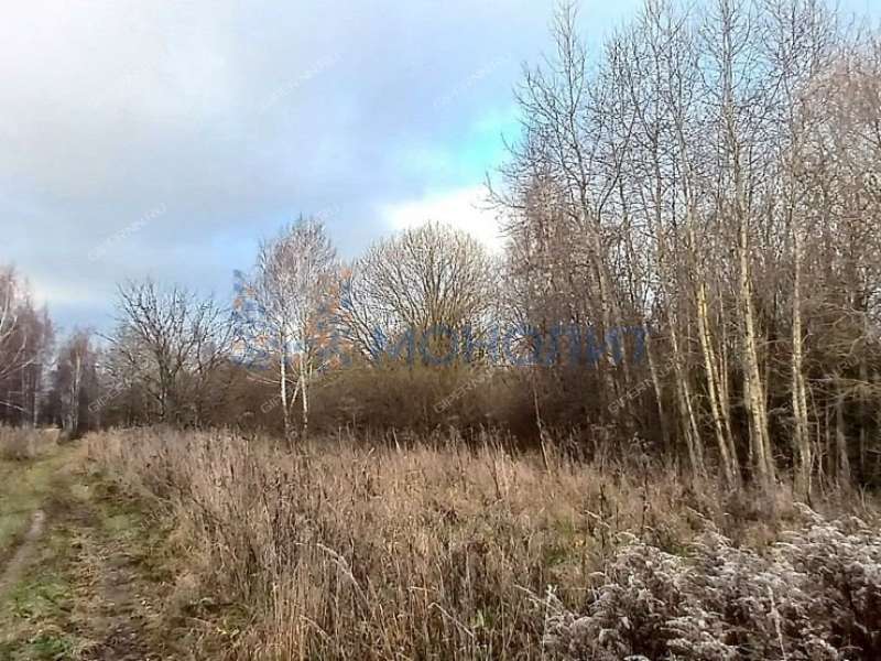 земельный участок 619 соток - деревня Хмелевая Поляна