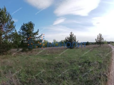 derevnya-lapshiha-dalnekonstantinovskiy-rayon фото