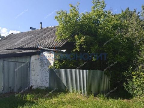 derevnya-trutnevo-gorodskoy-okrug-bor фото